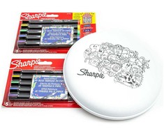 10 spalvų Sharpie akrilo markerių rinkinys su frisbiu dažymui