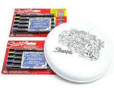 10 spalvų Sharpie akrilo markerių rinkinys su frisbiu dažymui