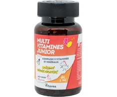 Prancūzija VITAVEA Multivitaminai vaikams