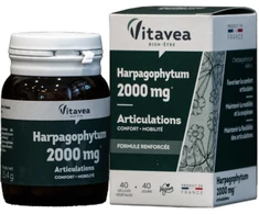 Prancūzija Vitavea Gulsčiojo inkaruočio ekstraktas 2000 mg