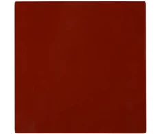 Thermal Grizzly Terminė „Grizzly“ GPU apsauga – 100 x 100 x 0,8 mm