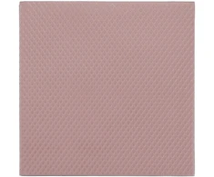 Thermal Grizzly Terminis „Grizzly Minus Pad“ kilimėlis 8 colių, 100 x 100 x 1,0 mm, 2 vnt.