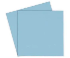 Thermal Grizzly Minus Pad Pro – 100 x 100 x 1,5 mm