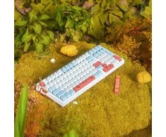 VGN V98 Pro žaidimų klaviatūra, Box Autumn – Maple Sugar Limited Edition US išdėstymas