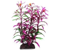 AQUA NOVA plastikinis augalas Hygro Araguais 20cm