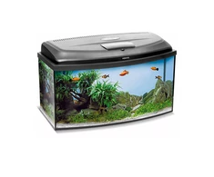 Aquael Classic BOX 80 Panoraminis (102L) Day&amp;Night