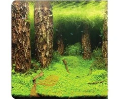 Aquael Fonas 30cm aukščio (dvipusis) 1 metras