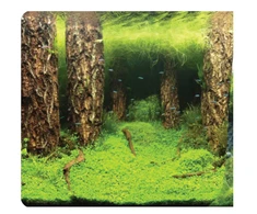 Aquael Fonas 60cm aukščio (dvipusis) 1 metras