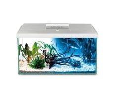 Aquael Leddy 60 (54L) Day&amp;Night PLUS Baltas