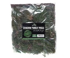 Aquario Terrario forest moss (miško samana) 28x35 cm