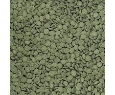 Dajana Mini spirulina wafers 1kg