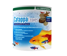 Dennerle Catappa lapai, 10vnt dideli