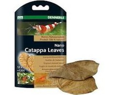 Dennerle Nano Catappa lapai, 12vnt
