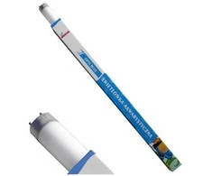 Diversa T8 30W Mėlyna