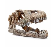 Happet Dekoracija dinozauro galva