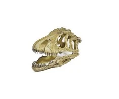 Happet Dekoracija dinozauro galva
