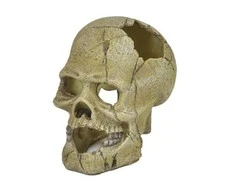 Happet Dekoracija kaukolė 13 cm