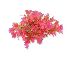 Happet Dirbtinis augalas 10cm