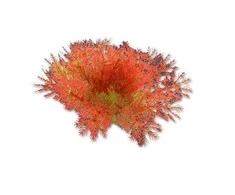 Happet Dirbtinis augalas 10cm
