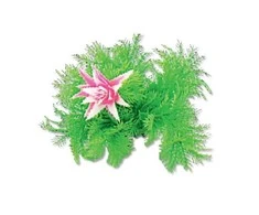 Happet Dirbtinis augalas 10cm
