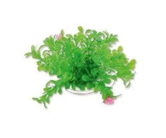 Happet Dirbtinis augalas 10cm
