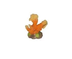 Happet Koralas 10cm