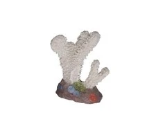 Happet Koralas 10cm