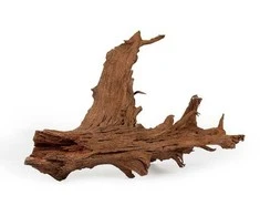Happet Mangrove šaka L 40-60 cm
