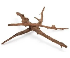 Happet Mangrove šakelės 30-50cm (3vnt)