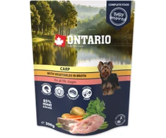 Ontario Karpis su Daržovėmis sultinyje 300g