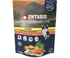 Ontario Lašiša su Daržovėmis sultinyje 300g