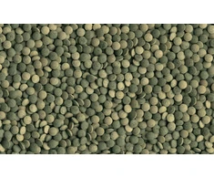 Tetra Pleco Tablets pašaras žolėdėms dugninėms akvariumo žuvims tabletėmis,275vnt