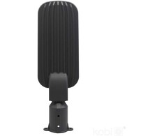 100W LED gatvės šviestuvas BRELUXO, pilkas, 4000K, IP65