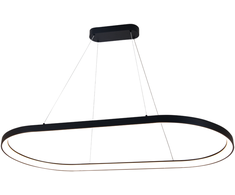 100W LED pakabinamas šviestuvas GRACE, juodas, 2700/3000/4000K, C3848573N