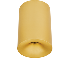 10W LED lubinis šviestuvas, matinės žalvario sp., 3000K, IP54, 25298