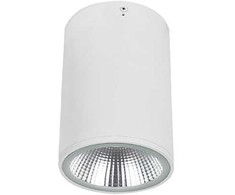 10W LED paviršinis fasado šviestuvas DERMOT, baltas, 3000K, IP65, 4334800
