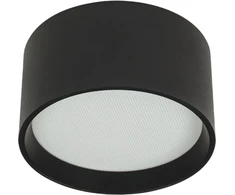 12W LED lubinis šviestuvas, juodas, 2700/3200/4000K, DALI, IP44, 25216