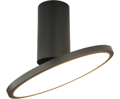 12W LED lubinis šviestuvas, juodas, 3000K, 25304