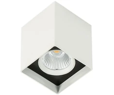 Lubinis šviestuvas 12W LED paviršinis šviestuvas ALDEN, baltos/juodos sp., 4000K