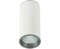 Lubinis šviestuvas Netlighting 12W LED paviršinis šviestuvas MOLDES BIG, baltos/pilkos sp., 4000K