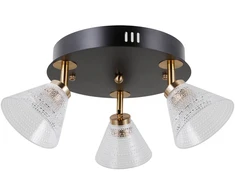 Lubinis šviestuvas 12W LED paviršinis šviestuvas ORELLA, juodos/aukso sp./skaidrus, 3000K
