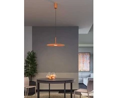 Bikuva.lt 13W LED pakabinamas šviestuvas LAKE, oranžinis, 3000K, 01-3045
