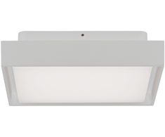 Lubinis šviestuvas 14W LED lubinis fasado šviestuvas NEXUS, baltas, 2700/3000K, IP65, P2083171B