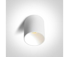 Lubinis šviestuvas 14W LED paviršinis šviestuvas, baltas, 3000/3500/4000K, 12114E/W/V