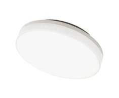 Lubinis šviestuvas Sieninis lubinis LED šviestuvas "RIO" 15W