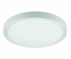 17,5W LED paviršinis šviestuvas ANABELLA, baltas, 3000K, 4257300