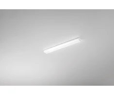 18W LED linijinis spintelės šviestuvas REGGY, baltas, CCT, IP44