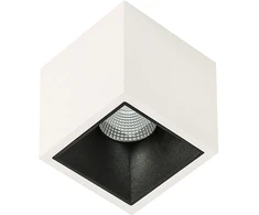 Lubinis šviestuvas 18W LED paviršinis šviestuvas ALDEN DEEP, baltos/juodos sp., 3000K
