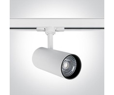 Lubinis šviestuvas 20W LED šviestuvas į bėgelius, baltas, 4000K, 65642BT/W/C