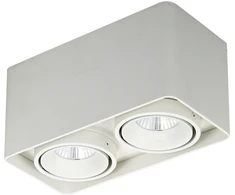 Lubinis šviestuvas Luminaire Center 20W LED paviršinis šviestuvas BONNIE, baltas, 3000K